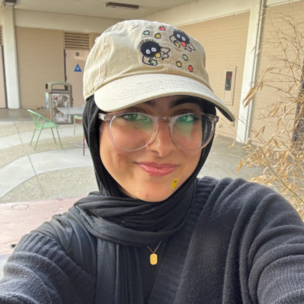 Meet your Posher, Hiba